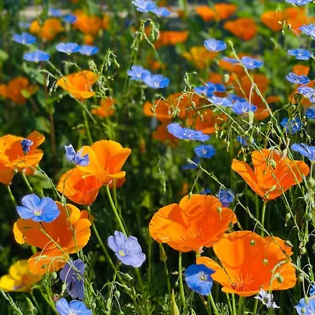 Domaine Les 2 Mondes 호텔 아이다