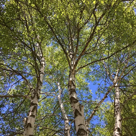 Отель Domaine Les 2 Mondes 3*