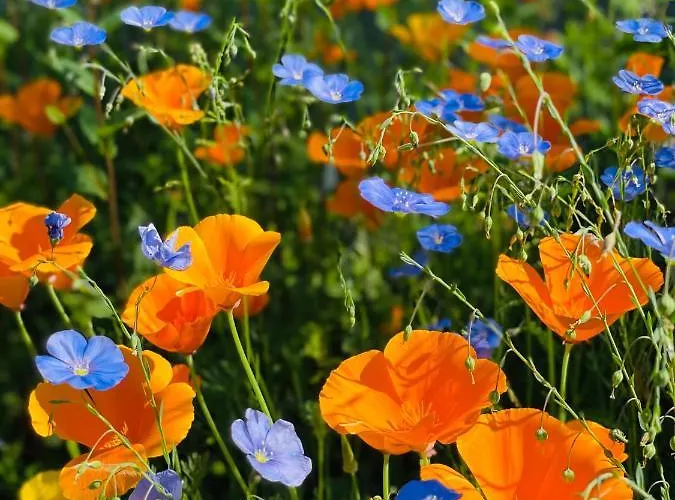 Domaine Les 2 Mondes Отель Айда